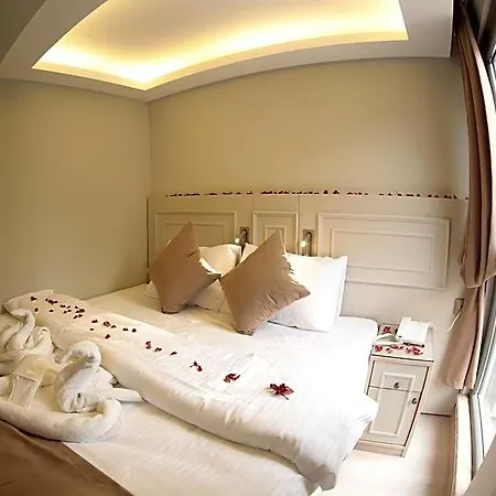 Hotel X-nellyi 2*