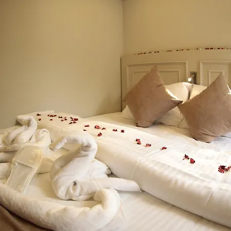 X-nellyi Hotel