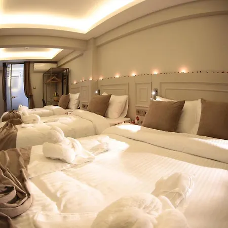 Hotel X-nellyi