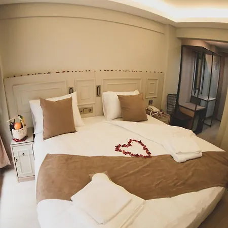 Hotel X-nellyi