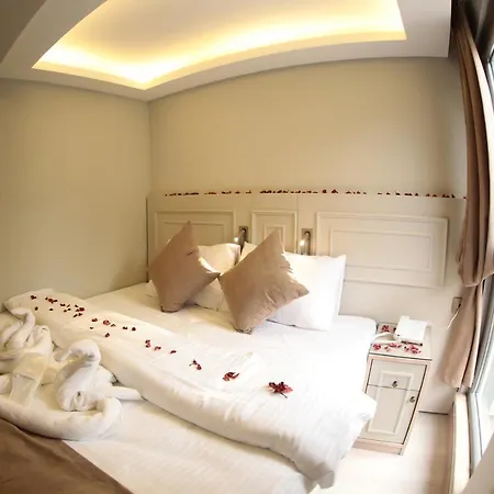 Hotel X-nellyi