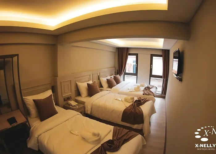 X-nellyi Szálloda 2*